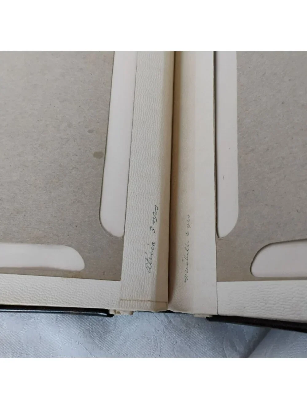 Vintage MCM Our Family Cowhide Leather Photo Album Brass Corners Gold Trim